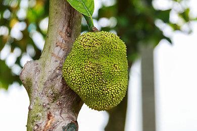 《冲就完事模拟器2》今秋登陆Switch 2 好评解压续篇